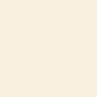 Lacquer Paint